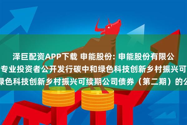 泽巨配资APP下载 申能股份: 申能股份有限公司关于完成2025年面向专业投资者公开发行碳中和绿色科技创新乡村振兴可续期公司债券（第二期）的公告