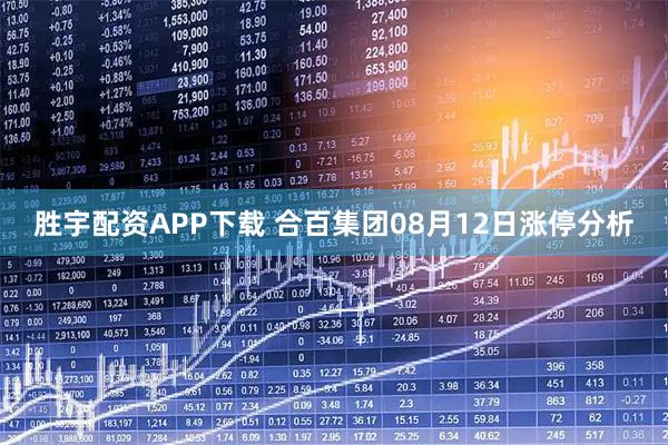 胜宇配资APP下载 合百集团08月12日涨停分析