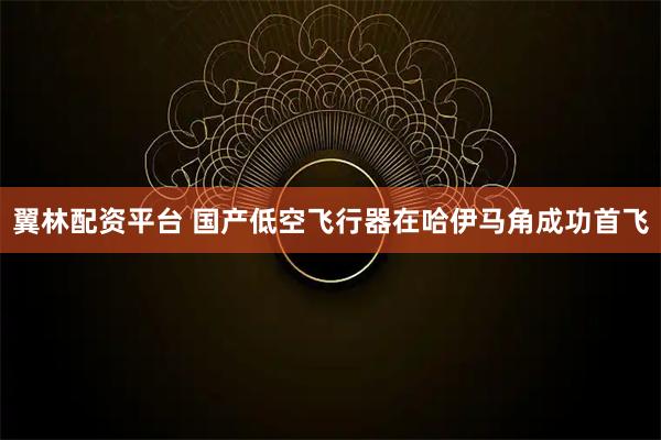 翼林配资平台 国产低空飞行器在哈伊马角成功首飞