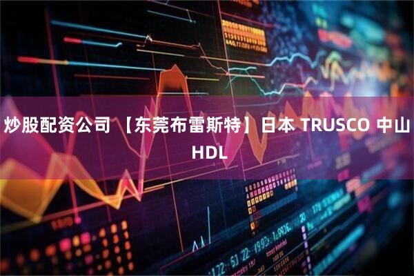 炒股配资公司 【东莞布雷斯特】日本 TRUSCO 中山 HDL