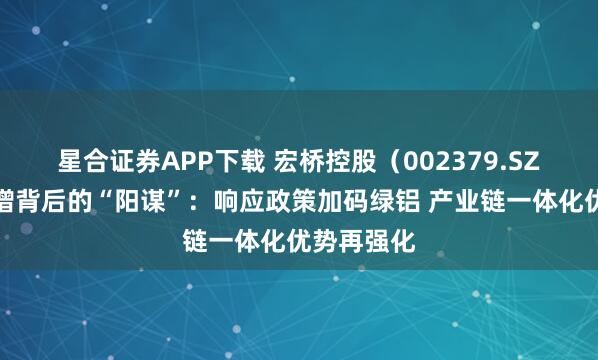 星合证券APP下载 宏桥控股（002379.SZ）百亿定增背后的“阳谋”：响应政策加码绿铝 产业链一体化优势再强化